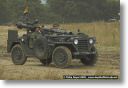 webPJR-BELTRING-DSC_3674.jpg