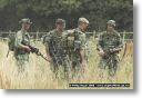 webPJR-BELTRING-DSC_3971.jpg