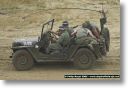 webPJR-BELTRING-DSC_4010.jpg