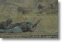 webPJR-BELTRING-DSC_4013.jpg