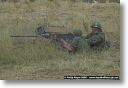 webPJR-BELTRING-DSC_4014.jpg