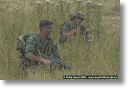 webPJR-BELTRING-DSC_4035.jpg