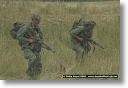webPJR-BELTRING-DSC_4036.jpg