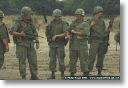 webPJR-BELTRING-DSC_4047.jpg