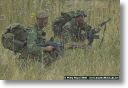 webPJR-BELTRING-PJROYALBeltring04.jpg