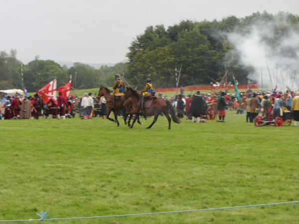 IMG_2767.jpg